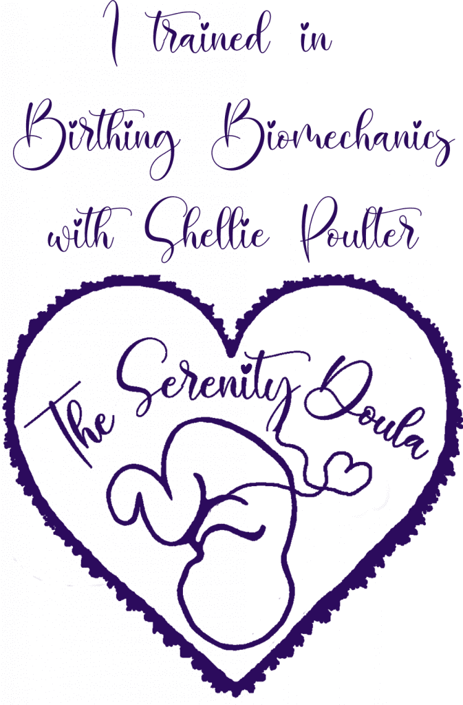 Birth Biomechanics with the Serenity Doula training image